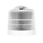 Galda ventilators Duux Stream DXHCF01 цена и информация | Sildītāji | 220.lv