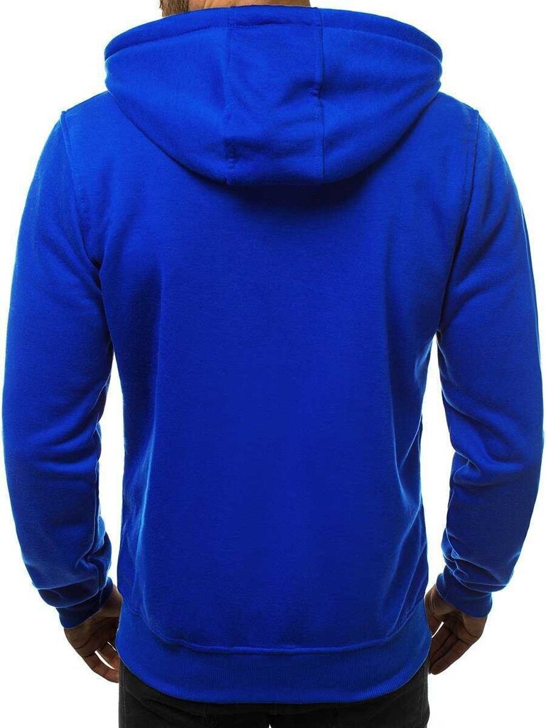Zils vīriešu džemperis ar kapuci "Lore" cena un informācija | Vīriešu jakas | 220.lv