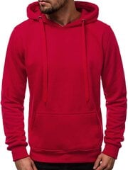 Sarkans vīriešu džemperis ar kapuci "Buvoli" cena un informācija | Vīriešu jakas | 220.lv