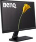 BenQ 9H.LFELA.TBE cena un informācija | Monitori | 220.lv