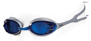 Peldēšanas brilles FASHY POWER, zilas cena un informācija | Peldēšanas brilles | 220.lv