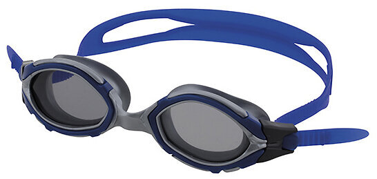 Peldēšanas brilles FASHY Osprey, pelēkas/zilas цена и информация | Peldēšanas brilles | 220.lv