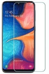 Защитная стекло Tempered Glass Premium 9H для Samsung A217 Galaxy A21S / A215 Galaxy A21 цена и информация | Защитные пленки для телефонов | 220.lv