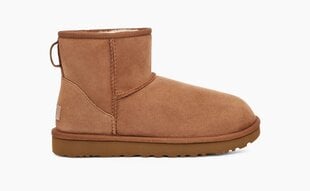 Sieviešu zābaki UGG - 1016222 28507, brūni цена и информация | Женские сапоги | 220.lv