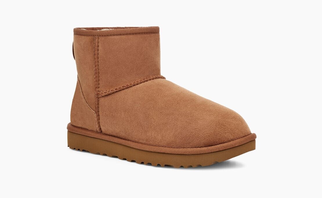 Sieviešu zābaki UGG - 1016222 28507, brūni cena | 220.lv