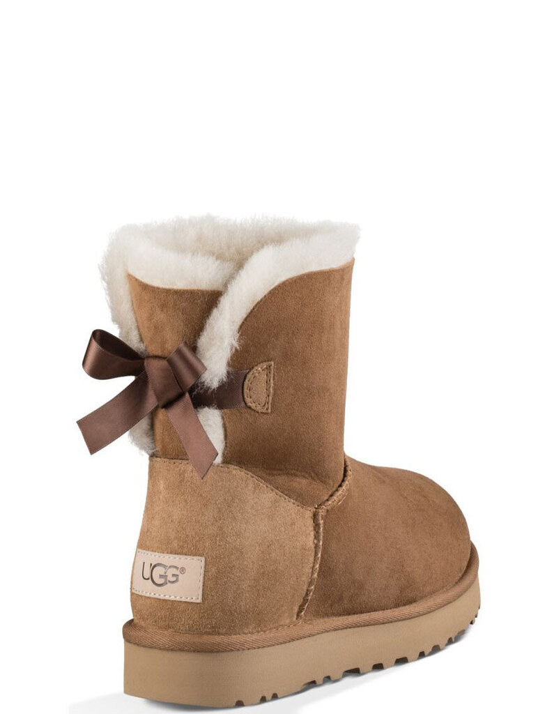 Sieviešu zābaki UGG - 1016501 28504, brūni цена и информация | Sieviešu zābaki, puszābaki | 220.lv