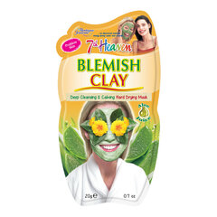 Sejas maska, lai apkarotu ādas nepilnības 7th Heaven Blemish Clay, 20 g cena un informācija | Sejas maskas, acu maskas | 220.lv