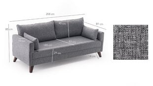 Раскладной диван Artie Bella 208, серый цена и информация | Диваны | 220.lv