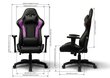 Spēļu krēsls Cooler Master Caliber R1, violets/melns cena un informācija | Biroja krēsli | 220.lv