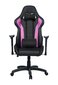 Spēļu krēsls Cooler Master Caliber R1, violets/melns цена и информация | Biroja krēsli | 220.lv