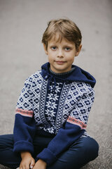Džemperis ar noņemamu kapuci Gakkard cena un informācija | Zēnu jakas, džemperi, žaketes, vestes | 220.lv