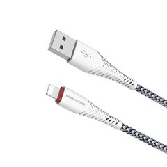 Borofone X25 Lightning Datu uzlādes kabelis (MD818) 100 cm Balts cena un informācija | Savienotājkabeļi | 220.lv
