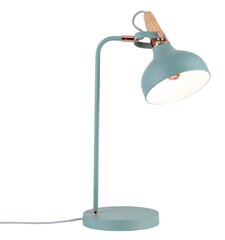 Galda lampa 79651 цена и информация | Настольные лампы | 220.lv