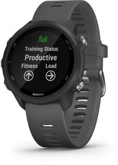 Garmin Forerunner 245, black/slate 010-02120-10 цена и информация | Смарт-часы (smartwatch) | 220.lv