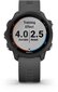 Forerunner 245 Grey (010-02120-10) cena un informācija | Viedpulksteņi (smartwatch) | 220.lv