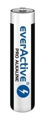 everActive LR034BLPA цена и информация | Аккумуляторы для видеокамер | 220.lv