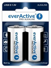 everActive EVLR20-PRO (2) цена и информация | Аккумуляторы для видеокамер | 220.lv