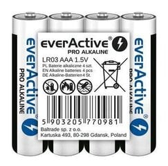 everActive LR6PRO4T цена и информация | Аккумуляторы для видеокамер | 220.lv