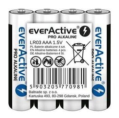 everActive LR03PRO4T цена и информация | Аккумуляторы для видеокамер | 220.lv