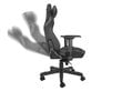 Spēļu krēsls Genesis Nitro 950, melns cena un informācija | Biroja krēsli | 220.lv