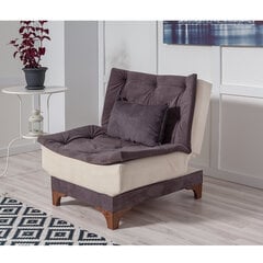 Кресло Artie Kelebek, коричневое/бежевое цена и информация | Кресла в гостиную | 220.lv