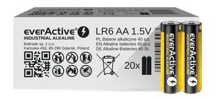 everActive EVLR6S2IK cena un informācija | Baterijas | 220.lv