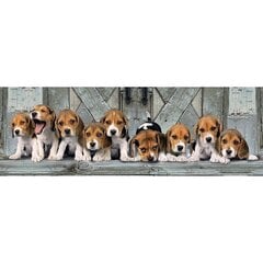 Puzle Clementoni Panorama High Quality Beagles 1000 d. цена и информация | Пазлы | 220.lv