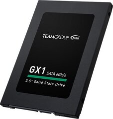 Team Group T253X1120G0C101 цена и информация | Внутренние жёсткие диски (HDD, SSD, Hybrid) | 220.lv
