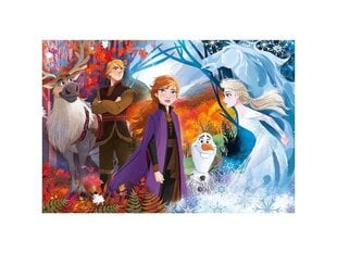 Головоломка Clementoni Maxi Frozen2 24 д. цена и информация | Пазлы | 220.lv