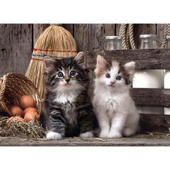 Пазл Clementoni High Quality Lovely Kittens 1000 деталей. цена и информация | Пазлы | 220.lv