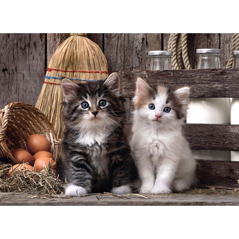 Puzle Clementoni High Quality Lovely Kittens 1000 d. цена и информация | Puzles, 3D puzles | 220.lv