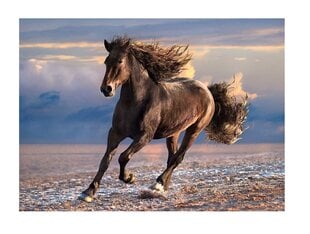 Пазл Clementoni High Quality Дикая лошадь, 1000 д. цена и информация | Пазлы | 220.lv