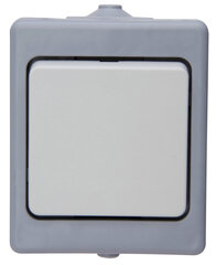 Универсальрый выключатель Heinrich Kopp, поверхностный, серый, IP44 цена и информация | Электрические выключатели, розетки | 220.lv