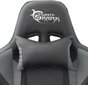 Spēļu krēsls White shark Terminator, 54x69x127 cm, melns cena un informācija | Biroja krēsli | 220.lv