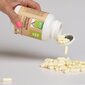 Mastika ar inulīnu pret Helikobaktērijas, 160 kaps. цена и информация | Vitamīni, preparāti, uztura bagātinātāji labsajūtai | 220.lv