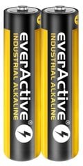 everActive EVLR03S2IK цена и информация | Аккумуляторы для видеокамер | 220.lv