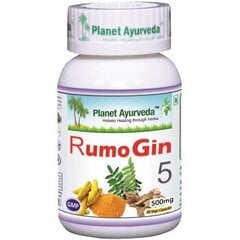 Здоровье суставов, RumoJin5, Planet Ayurveda™, 60 капсул цена и информация | Витамины, пищевые добавки, препараты для хорошего самочувствия | 220.lv