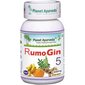 Uztura bagātinātājs locītavu veselībai, RumoJin5, Planet Ayurveda™, 60 kapsulas цена и информация | Vitamīni, preparāti, uztura bagātinātāji labsajūtai | 220.lv