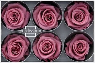 Stabilizētas Standard rozes 6 gab., cherry blossom cena un informācija | Stabilizētās rozes, augi | 220.lv