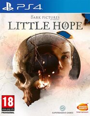 The Dark Pictures Anthology : Little Hope PS4 цена и информация | Игра SWITCH NINTENDO Монополия | 220.lv