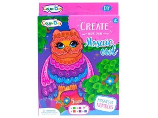 Красочная мозаика-Сова Color Day цена и информация | Развивающие игрушки | 220.lv