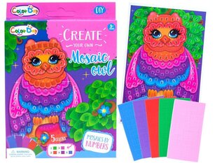 Krāsaina mozaīka-Pūce Color Day цена и информация | Развивающие игрушки | 220.lv