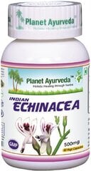 Пищевая добавка Planet Ayurveda™ Indian Echinacea, 60 капсул цена и информация | Витамины, пищевые добавки, препараты для хорошего самочувствия | 220.lv