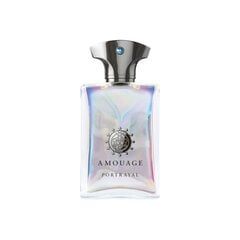 Parfimērijas ūdens Amouage Portrayal EDP vīriešiem 100 ml cena un informācija | Vīriešu smaržas | 220.lv