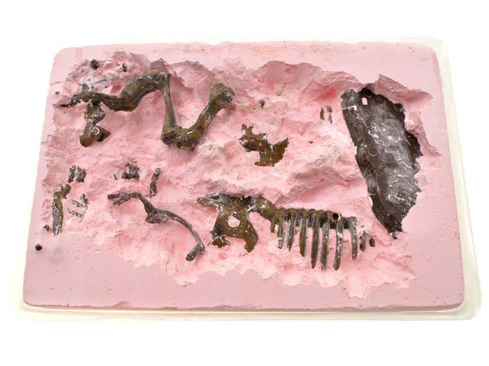 Arheologa komplekts - mamuts Excavation Kits cena un informācija | Attīstošās rotaļlietas | 220.lv