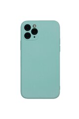 Чехол TPU/Microfiber для iPhone 11 PRO, светло-зеленый цена и информация | Чехлы для телефонов | 220.lv