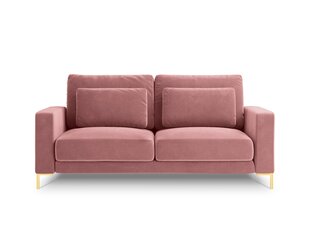 Divvietīgs dīvāns Interieurs86 Seine, rozā cena un informācija | Dīvāni | 220.lv