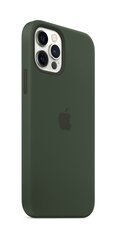 Apple maciņš MagSafe piemērots Apple iPhone 12 Pro Max, Zaļš цена и информация | Чехлы для телефонов | 220.lv