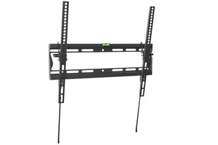 Wall Mount for Monitors цена и информация | Кронштейны для монитора | 220.lv