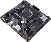 Asus 90MB1600-M0EAY0 cena un informācija | Mātesplates | 220.lv